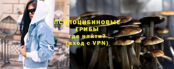 кристаллы Гусев
