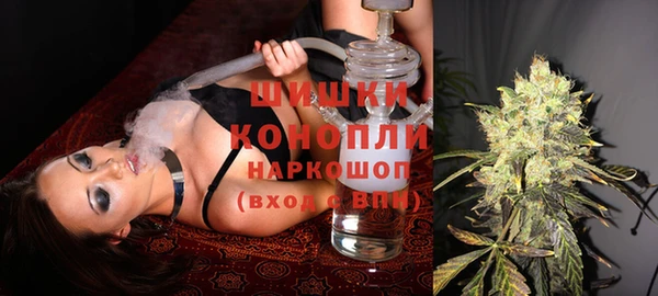ПСИЛОЦИБИНОВЫЕ ГРИБЫ Гусь-Хрустальный