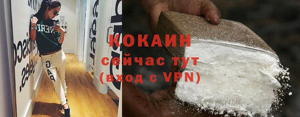 первитин Няндома