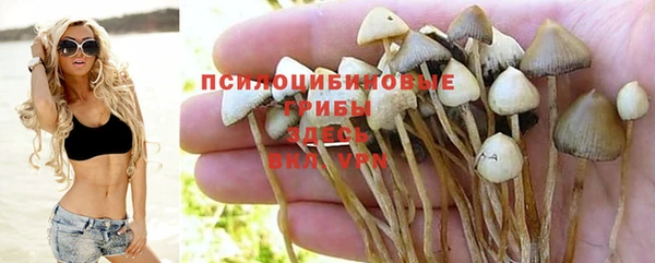 первитин Няндома
