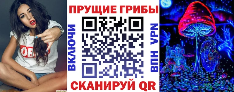 Псилоцибиновые грибы Psilocybe Павловск